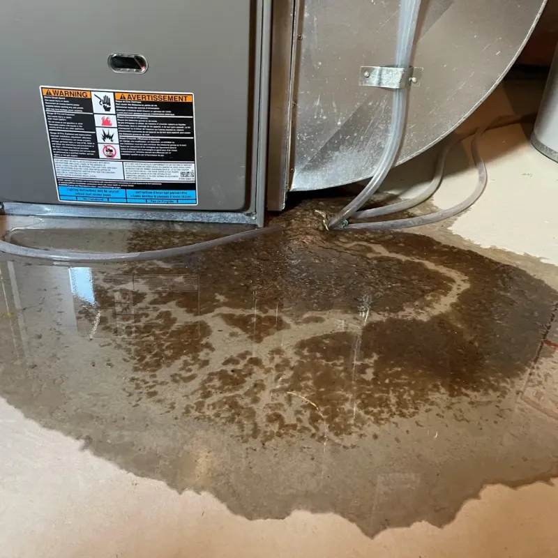 Appliance Leak Cleanup in Atkins, AR